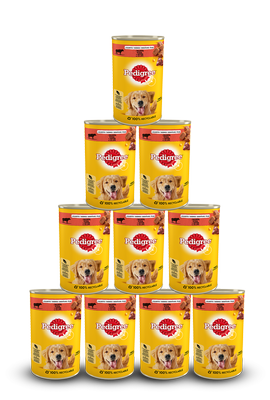 Pedigree Adult Wet Dog Food con Beef Jell-O 12x1200g