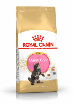 ROYAL CANIN Maine Coon Kitten 2kg